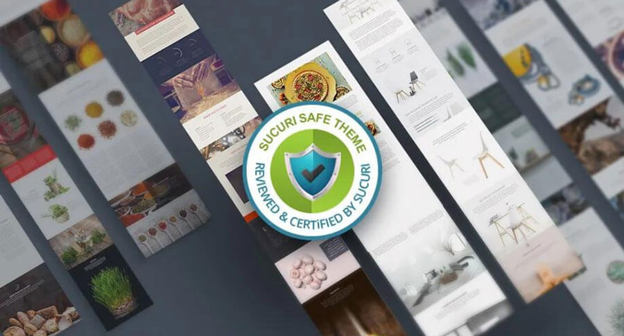 Divi security