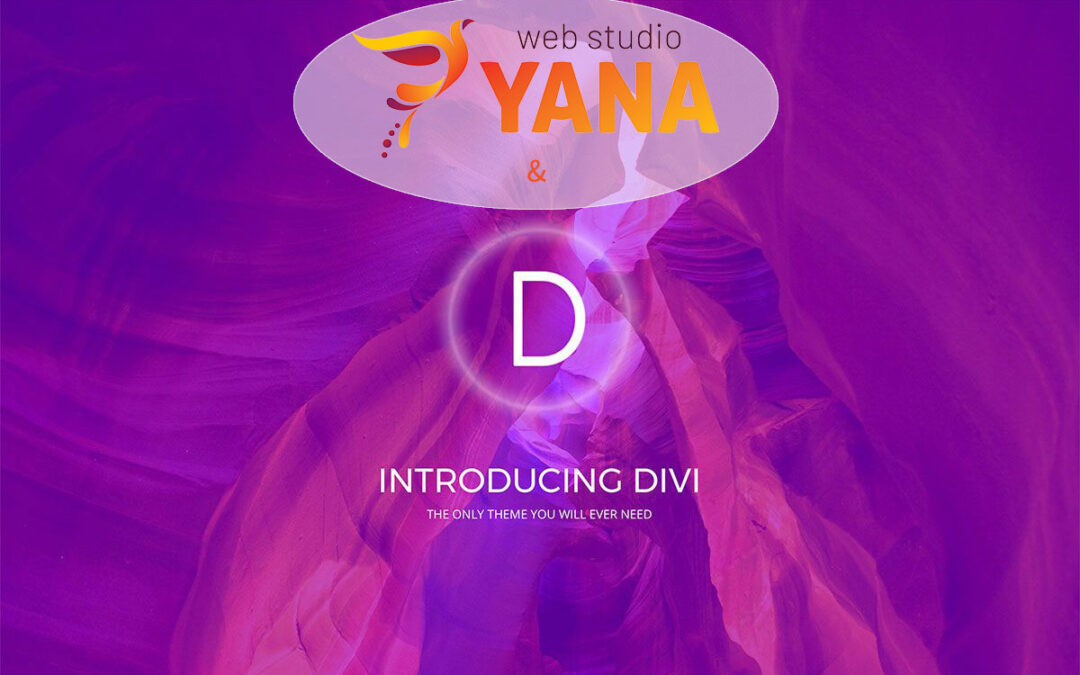 Защо да изберем DIVI в WordPress?