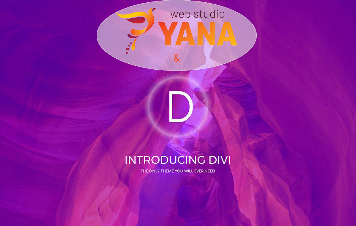 Защо да изберем DiVI в WordPress
